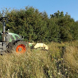 Mäharbeiten Heidelerche