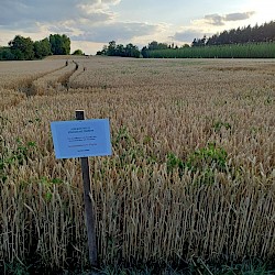 Ausschilderung der Saatgutmischungen